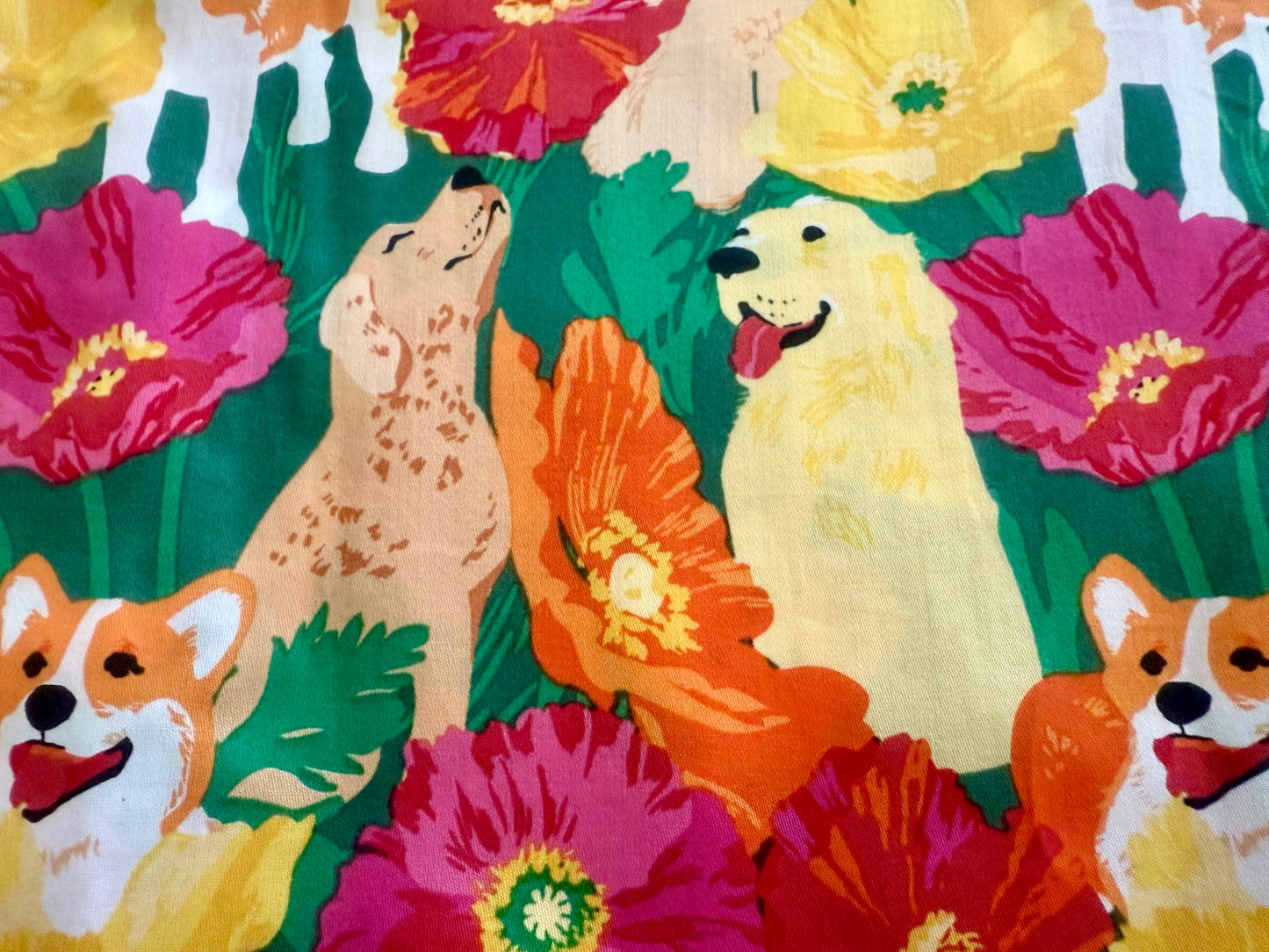 Dogs on floral background