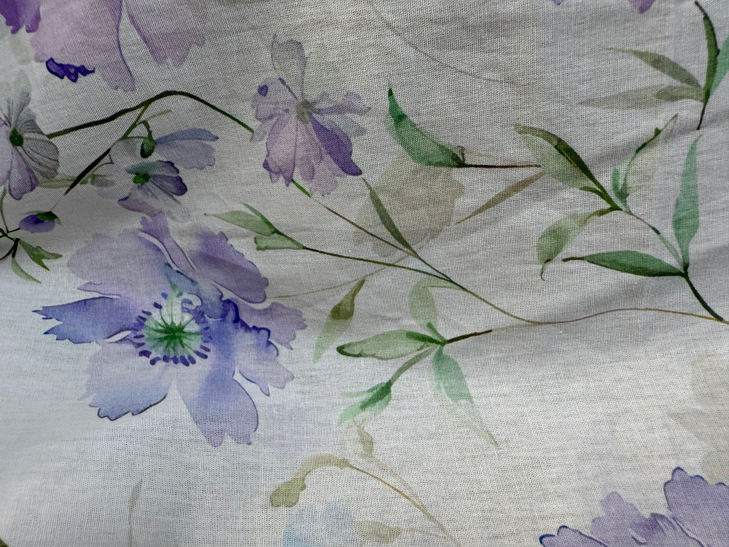 Purple flowers on white background